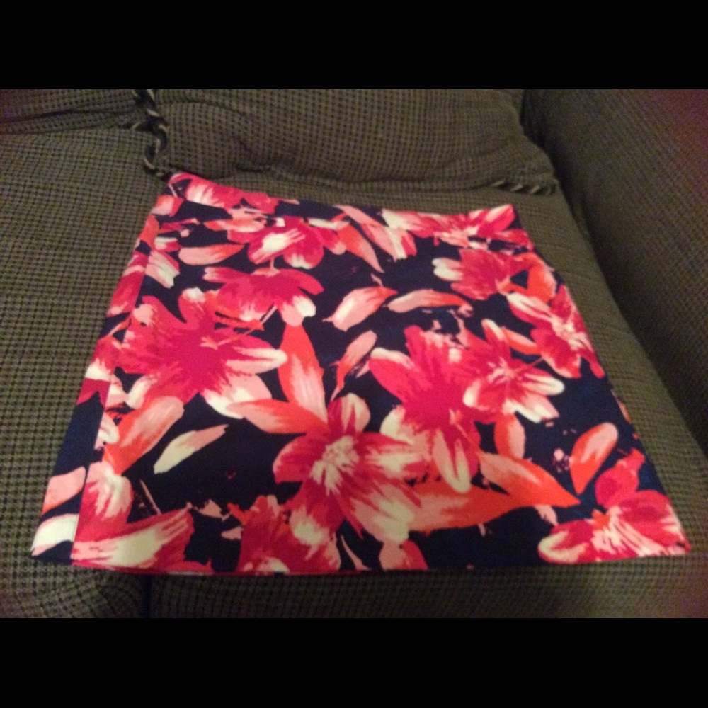 Zoe and Phoebe size large Skort